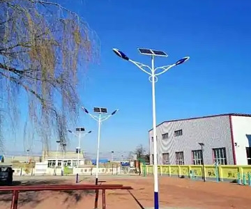 Solar-LED-Street-Light-for-Schools.jpg