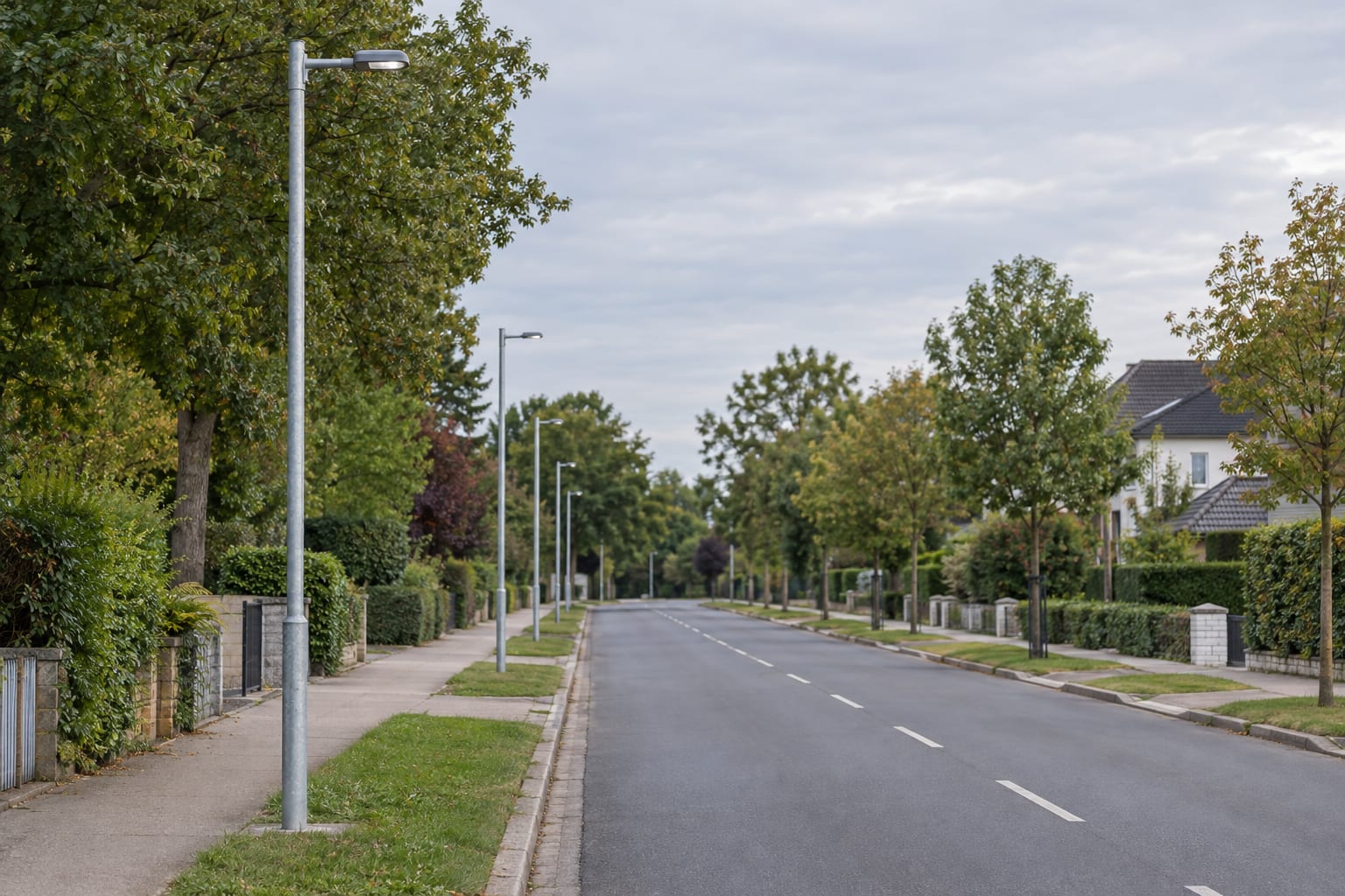 Street light poles on a tree-lined local road with adjacent footway and verge